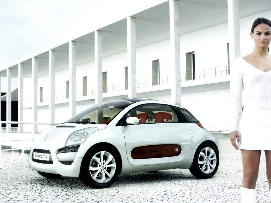  Citroen C-AirPlay Concept 2005 года  (фото 59 из 100)